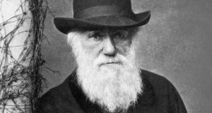 داروینیسم معکوس